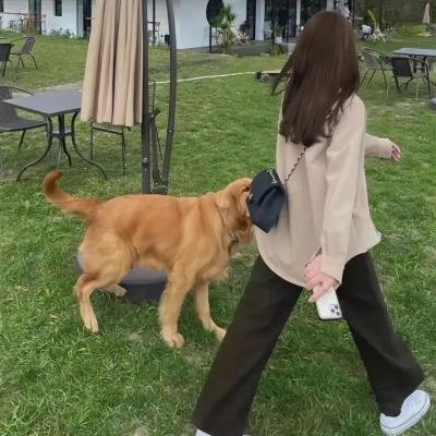 你的婚礼2018